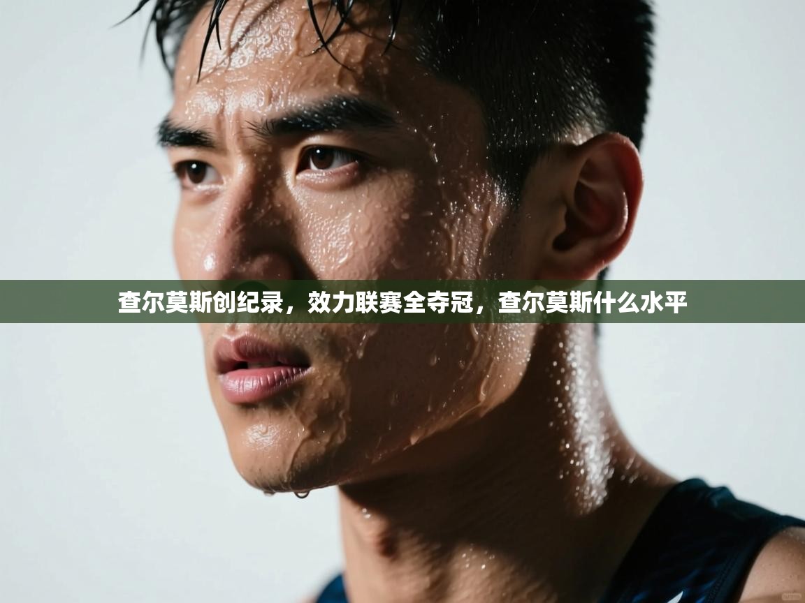 云开体育app登录入口-查尔莫斯创纪录，效力联赛全夺冠，查尔莫斯什么水平  第4张