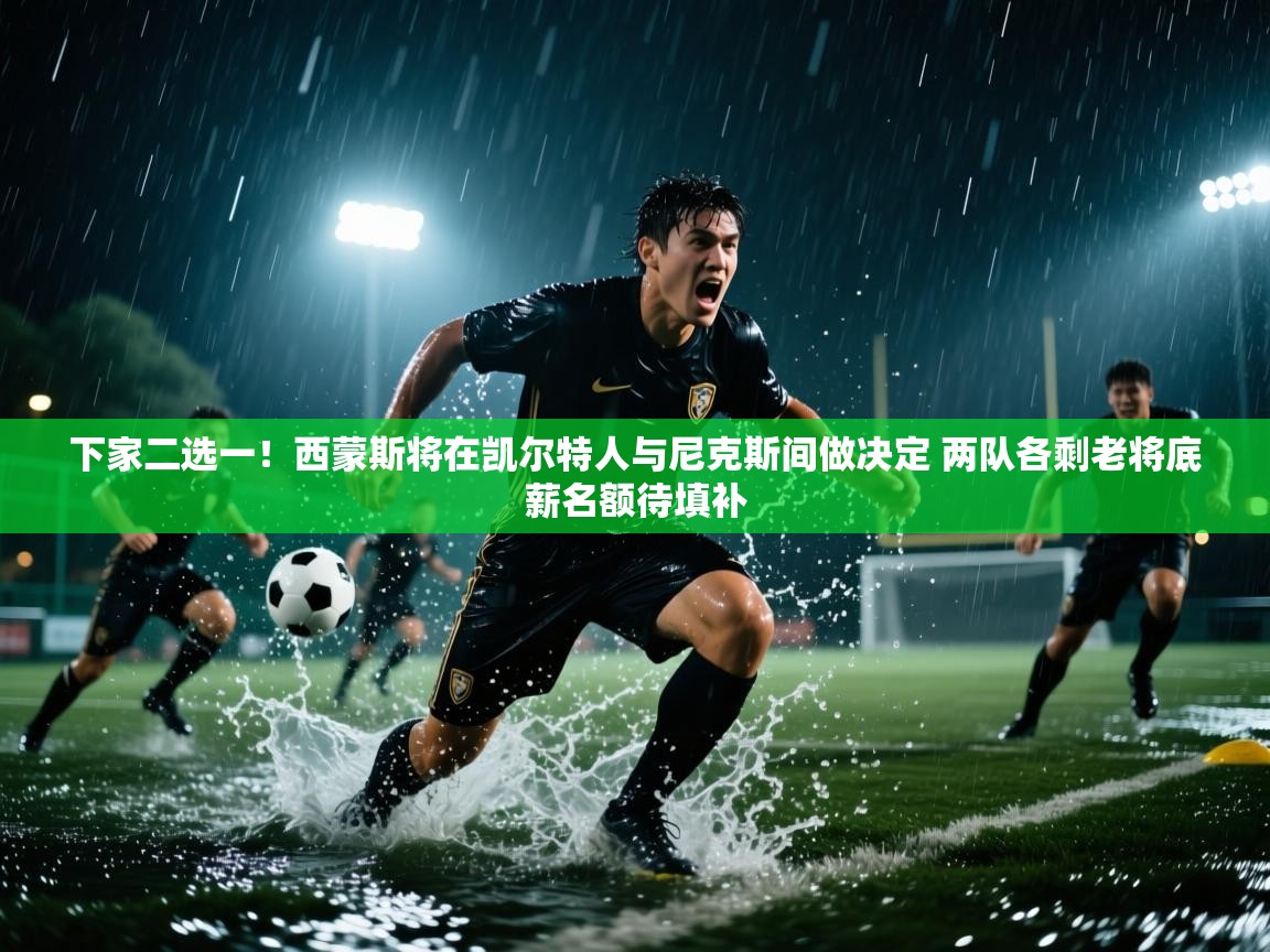 开云体育app下载-下家二选一！西蒙斯将在凯尔特人与尼克斯间做决定 两队各剩老将底薪名额待填补