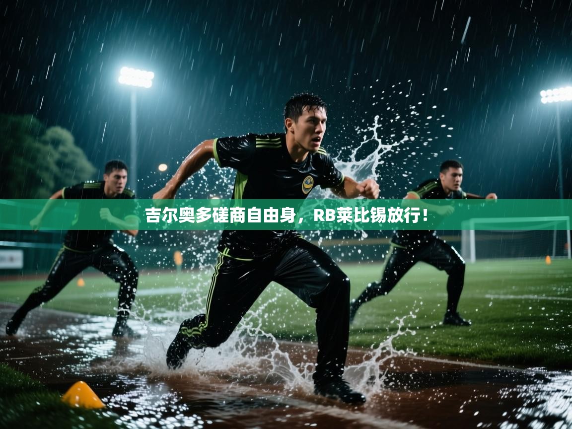 开云体育app下载入口-吉尔奥多磋商自由身，RB莱比锡放行！