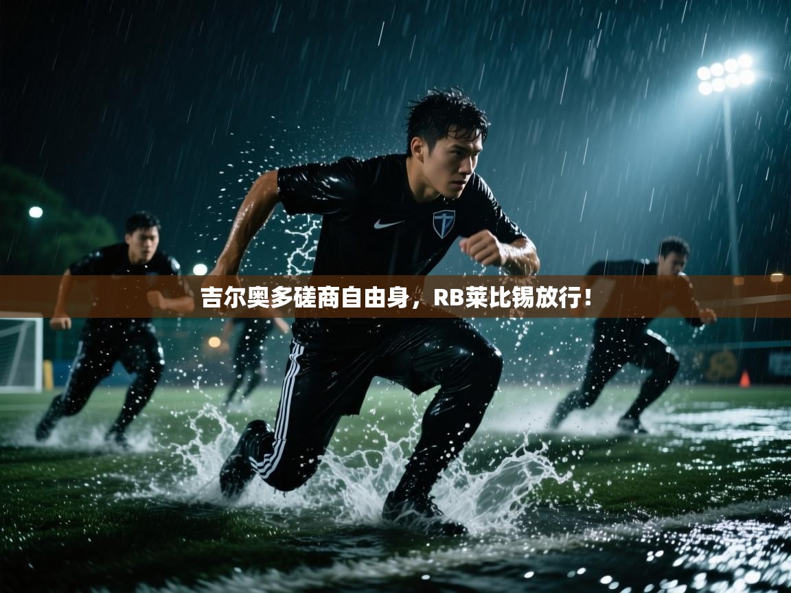 开云体育app下载入口-吉尔奥多磋商自由身，RB莱比锡放行！  第4张